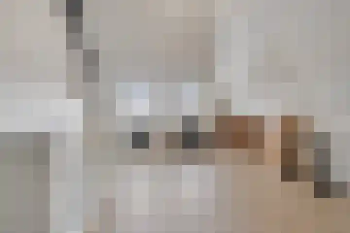 Dokter Leo van der Laanstraat 49 Huissen thumbnail 22