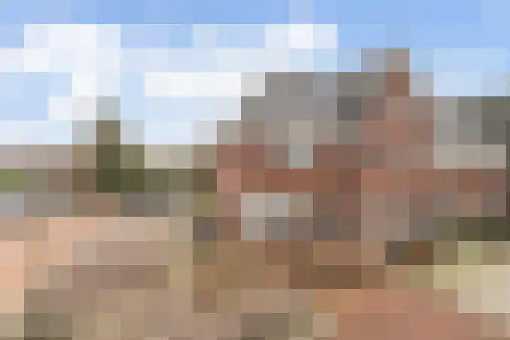 Dokter Leo van der Laanstraat 49 Huissen thumbnail 27