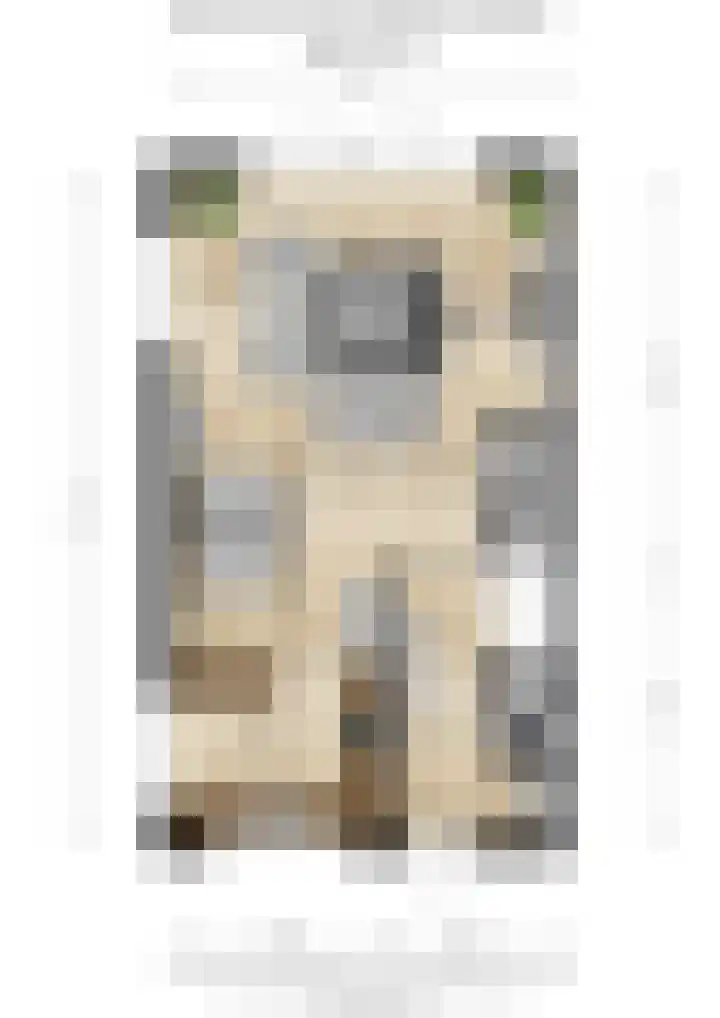 Dokter Leo van der Laanstraat 49 Huissen thumbnail 32