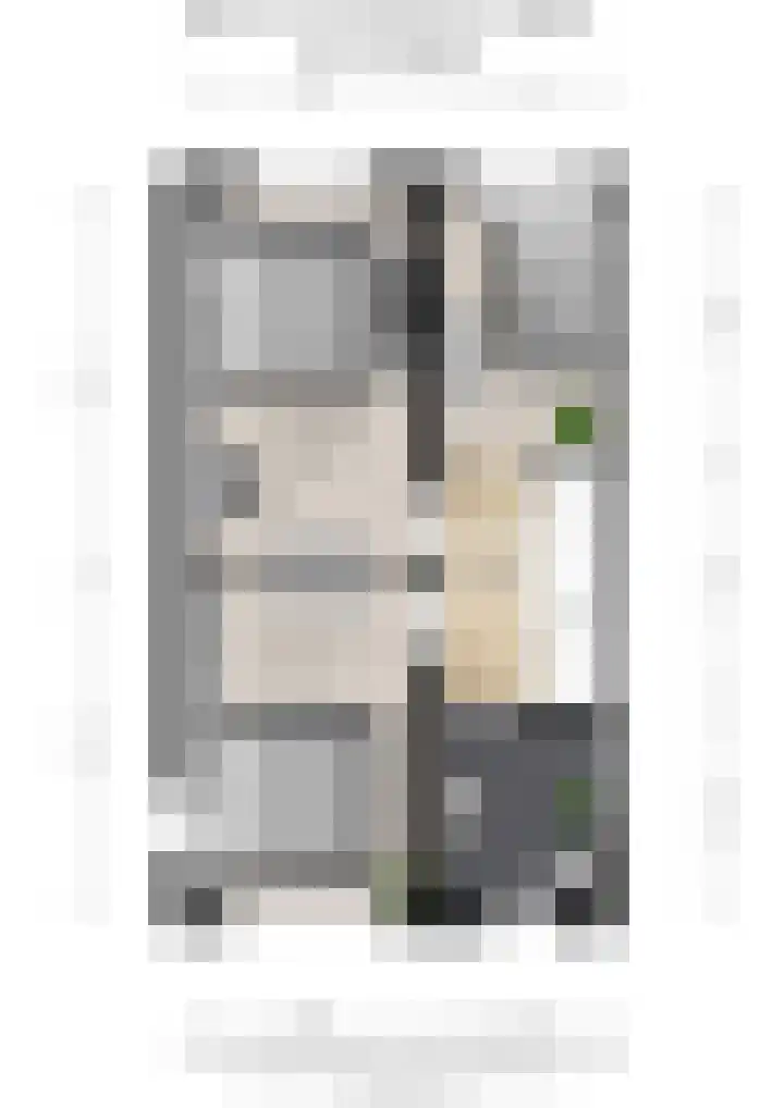 Dokter Leo van der Laanstraat 49 Huissen thumbnail 35