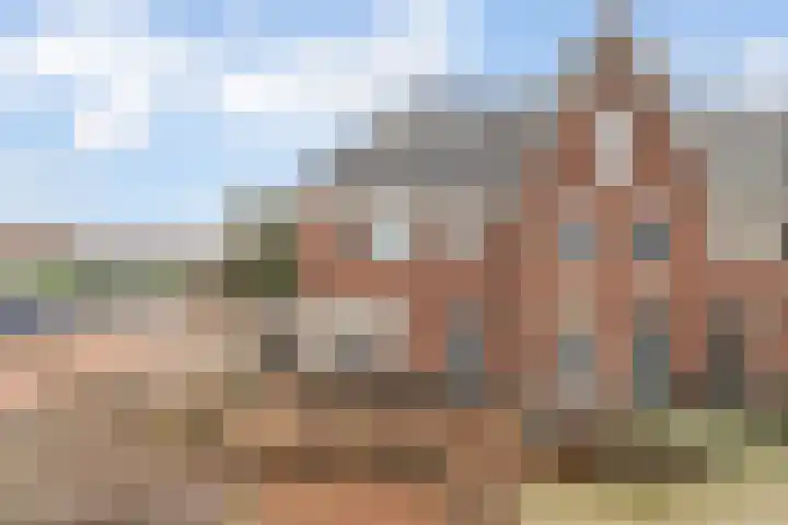Dokter Leo van der Laanstraat 49 Huissen thumbnail 4