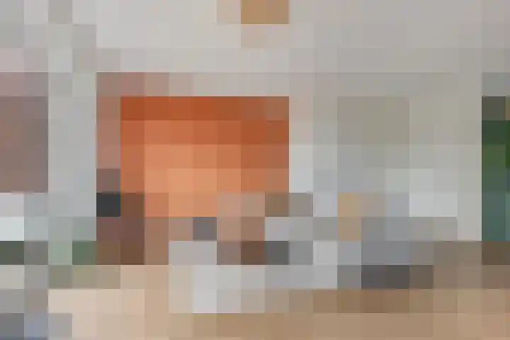 Dokter Leo van der Laanstraat 49 Huissen thumbnail 7