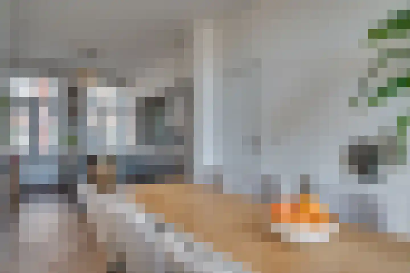 Dokter Leursstraat 11 Roermond thumbnail 11