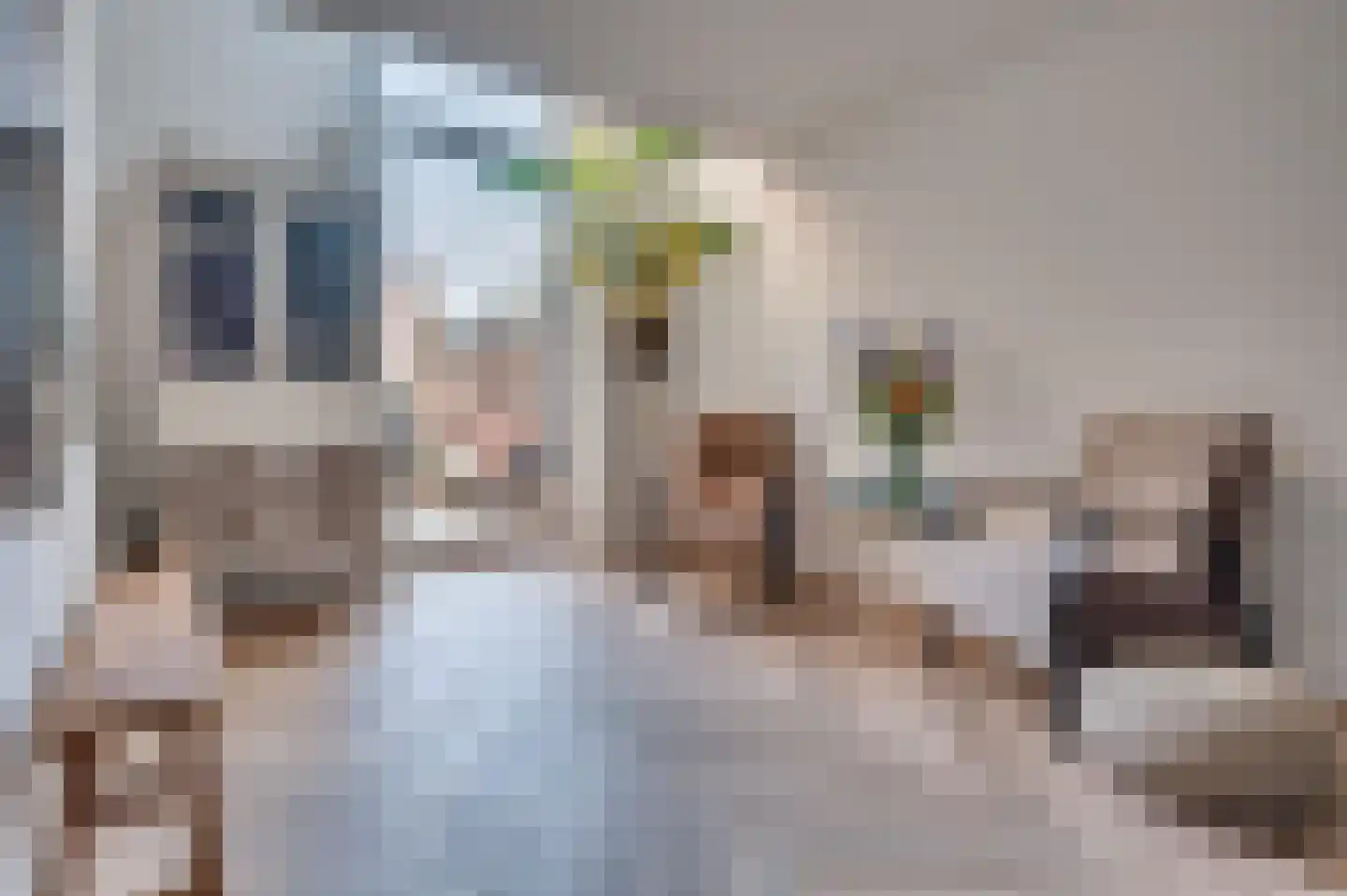 Dokter Leursstraat 11 Roermond thumbnail 20