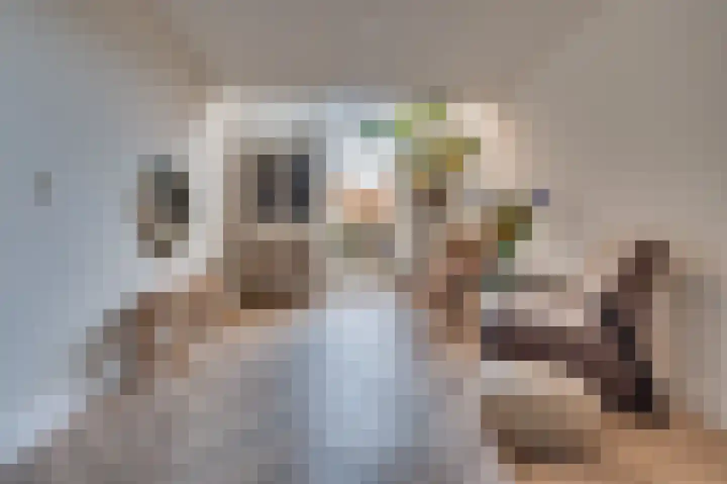 Dokter Leursstraat 11 Roermond thumbnail 22