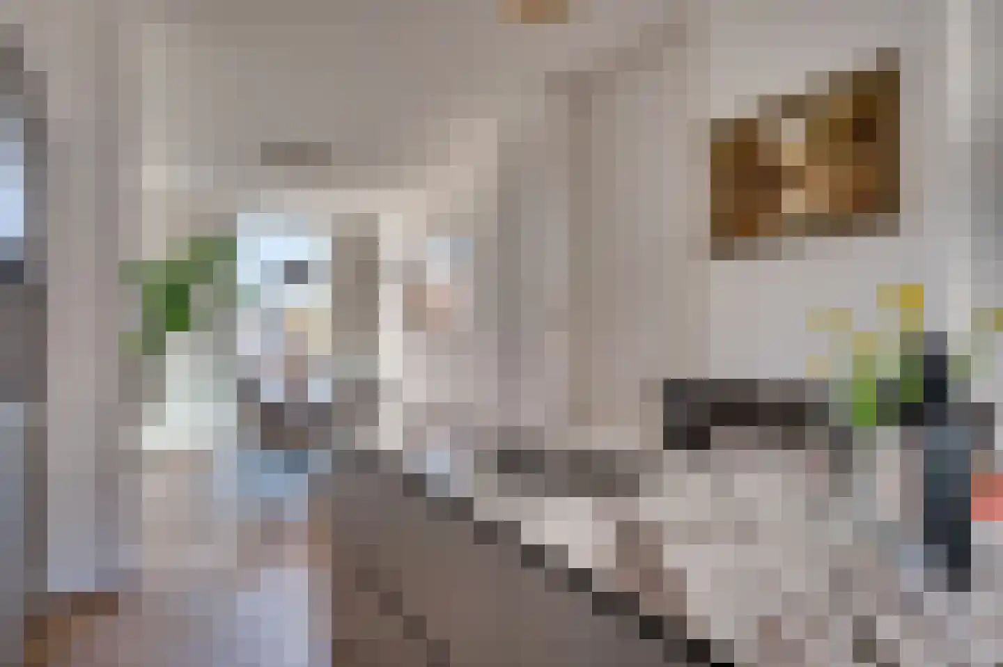 Dokter Leursstraat 11 Roermond thumbnail 5