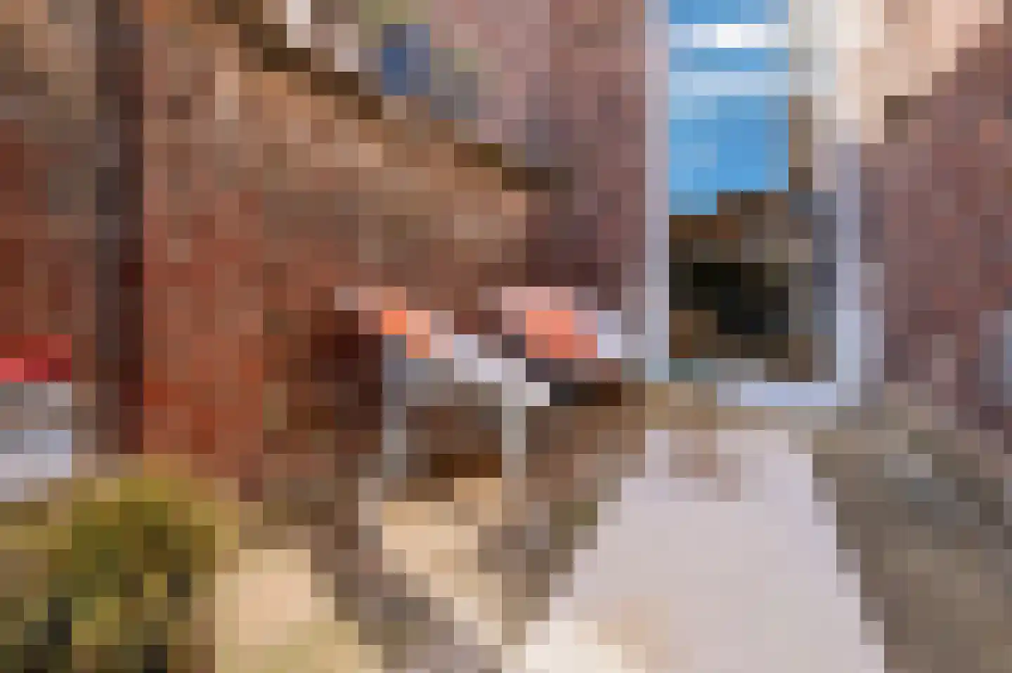 Dokter Leursstraat 11 Roermond thumbnail 53