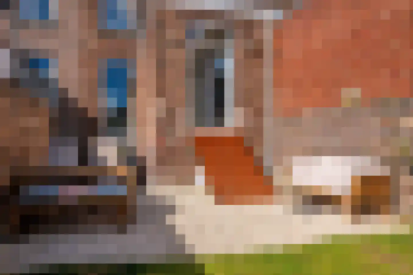 Dokter Leursstraat 11 Roermond thumbnail 54