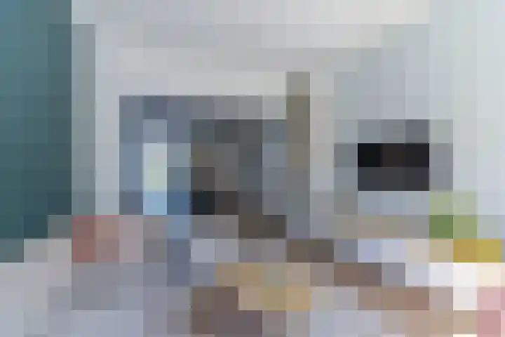 Dokter Leursstraat 18 Roermond thumbnail 14