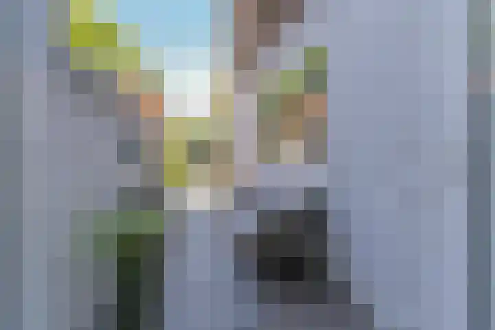 Dokter Leursstraat 18 Roermond thumbnail 33