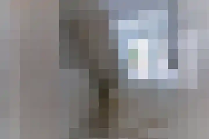 Dokter Leursstraat 18 Roermond thumbnail 35