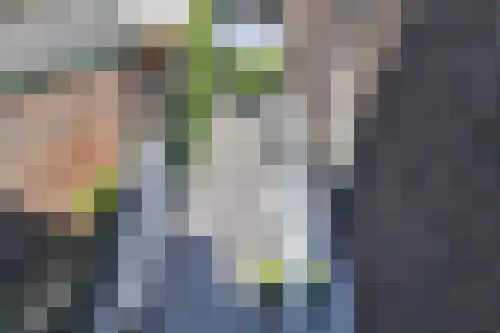 Dokter Leursstraat 18 Roermond thumbnail 56