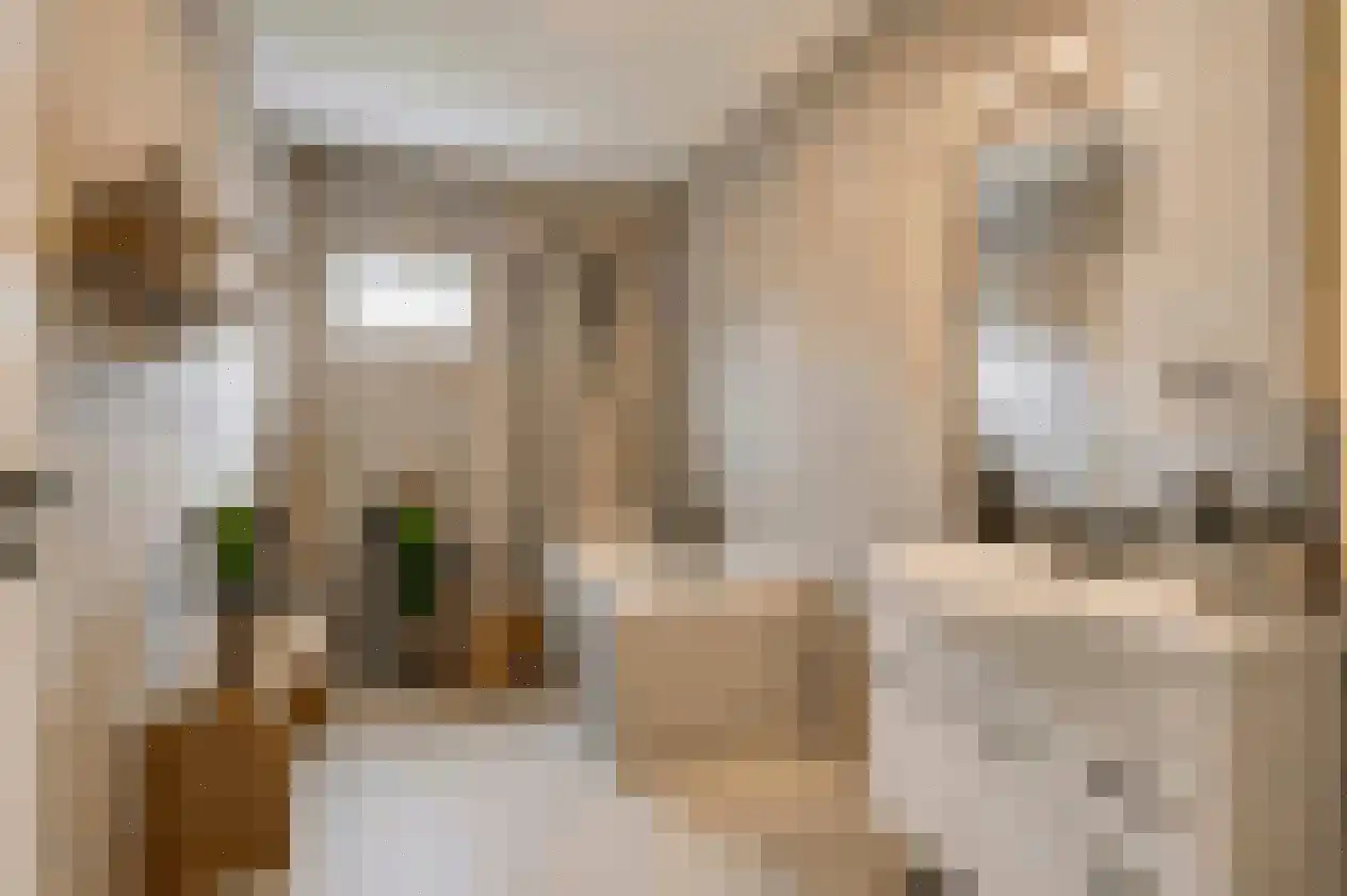Dokter Leursstraat 3 Roermond thumbnail 15