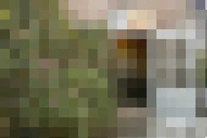 Dokter Leursstraat 4 Roermond thumbnail 31
