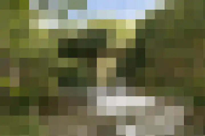 Dokter Leursstraat 4 Roermond thumbnail 32