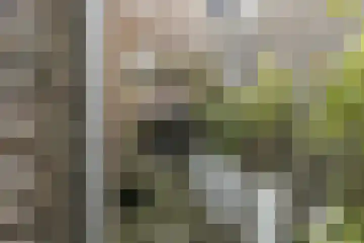 Dokter Leursstraat 4 Roermond thumbnail 33