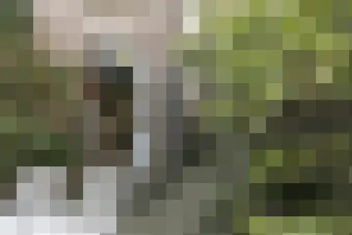 Dokter Leursstraat 4 Roermond thumbnail 34