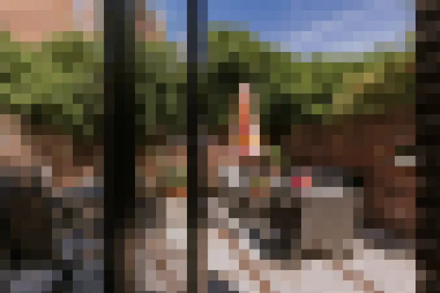 Dokter Leursstraat 6 Roermond thumbnail 25