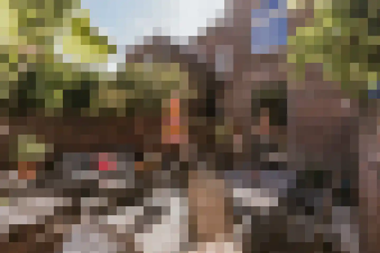 Dokter Leursstraat 6 Roermond thumbnail 26