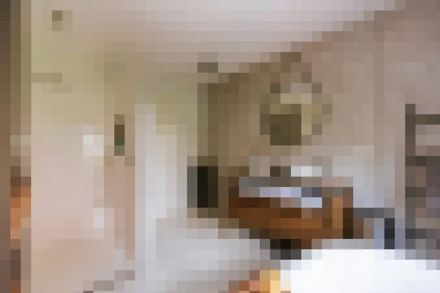 Dokter Leursstraat 6 Roermond thumbnail 39