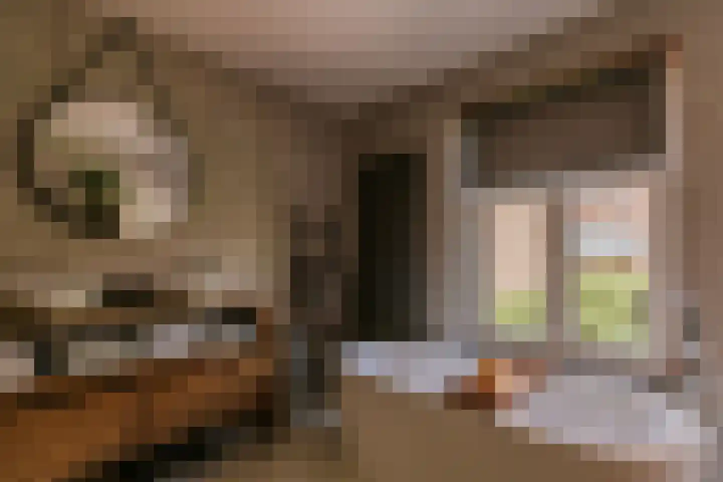 Dokter Leursstraat 6 Roermond thumbnail 4