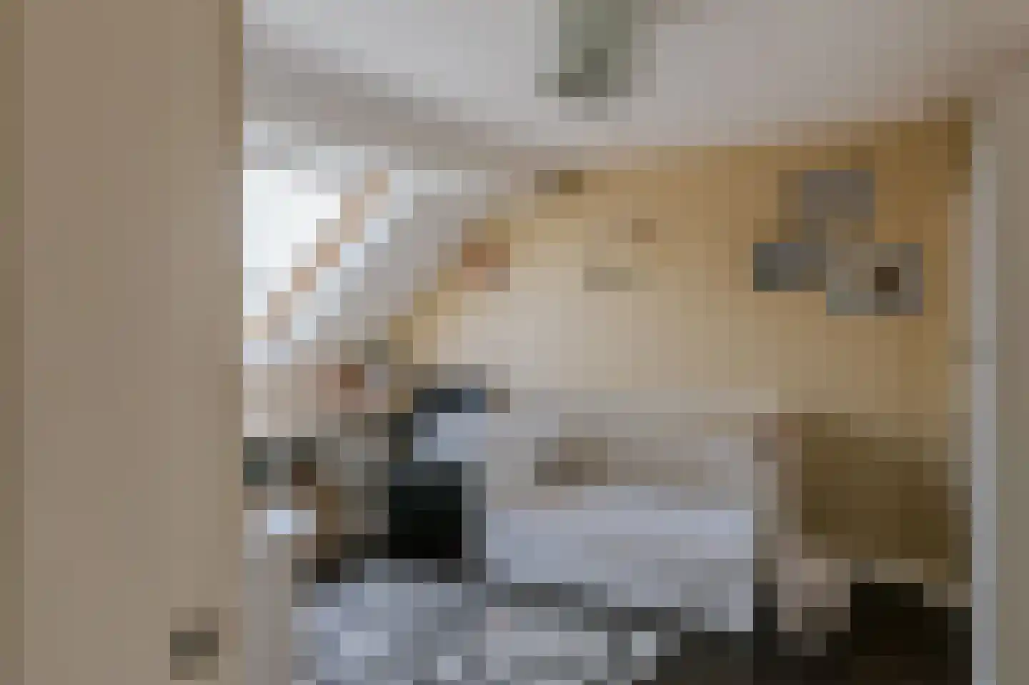 Dokter Leursstraat 6 Roermond thumbnail 46