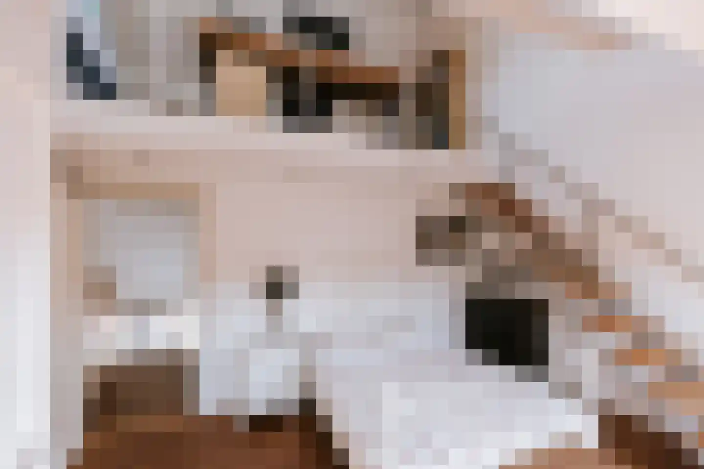 Dokter Leursstraat 6 Roermond thumbnail 5