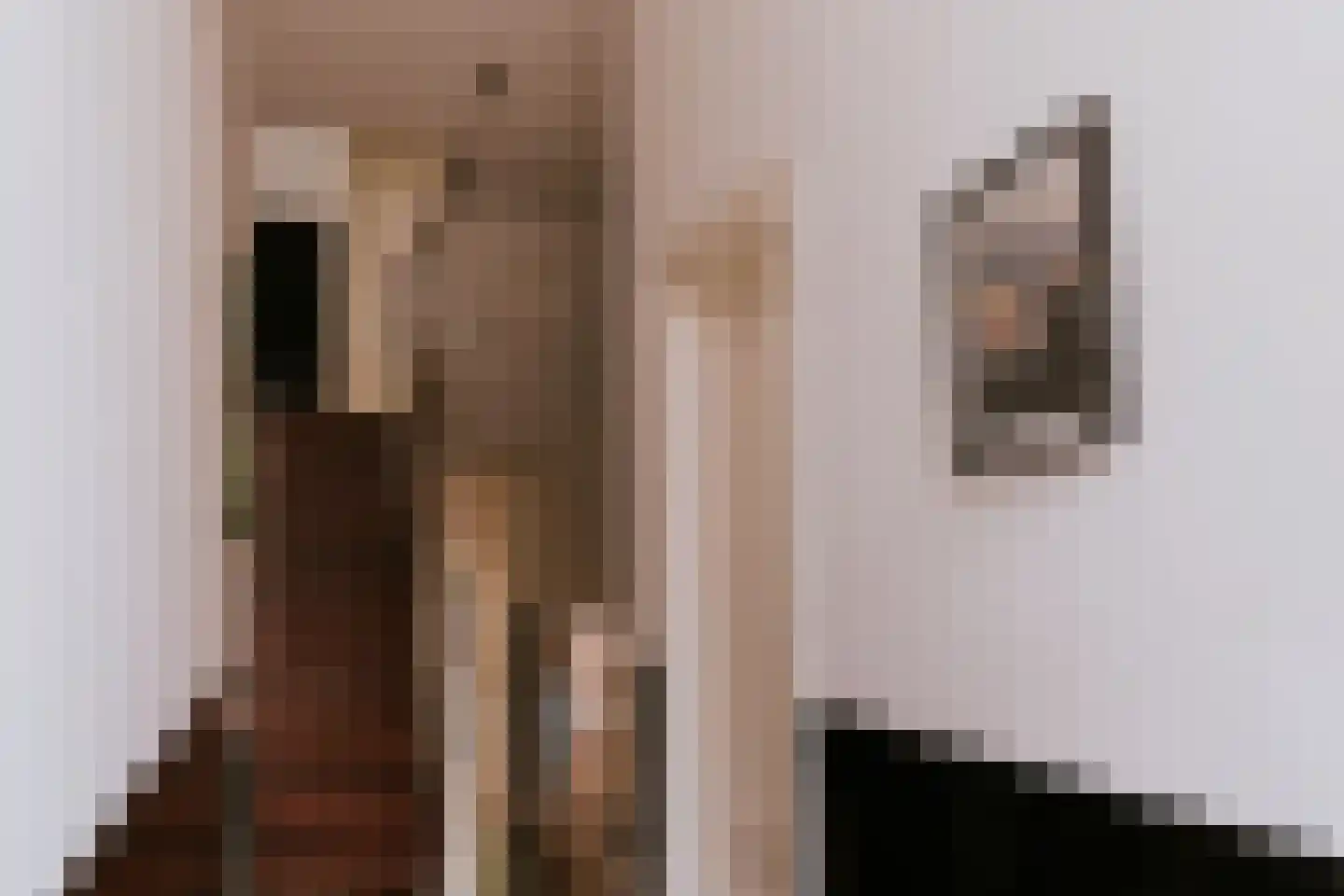 Dokter Leursstraat 6 Roermond thumbnail 8