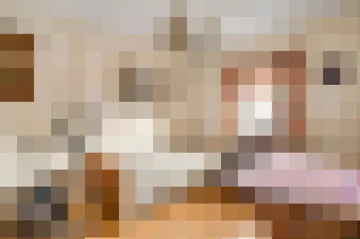 Dokter Limpensstraat 44 Kerkrade thumbnail 7