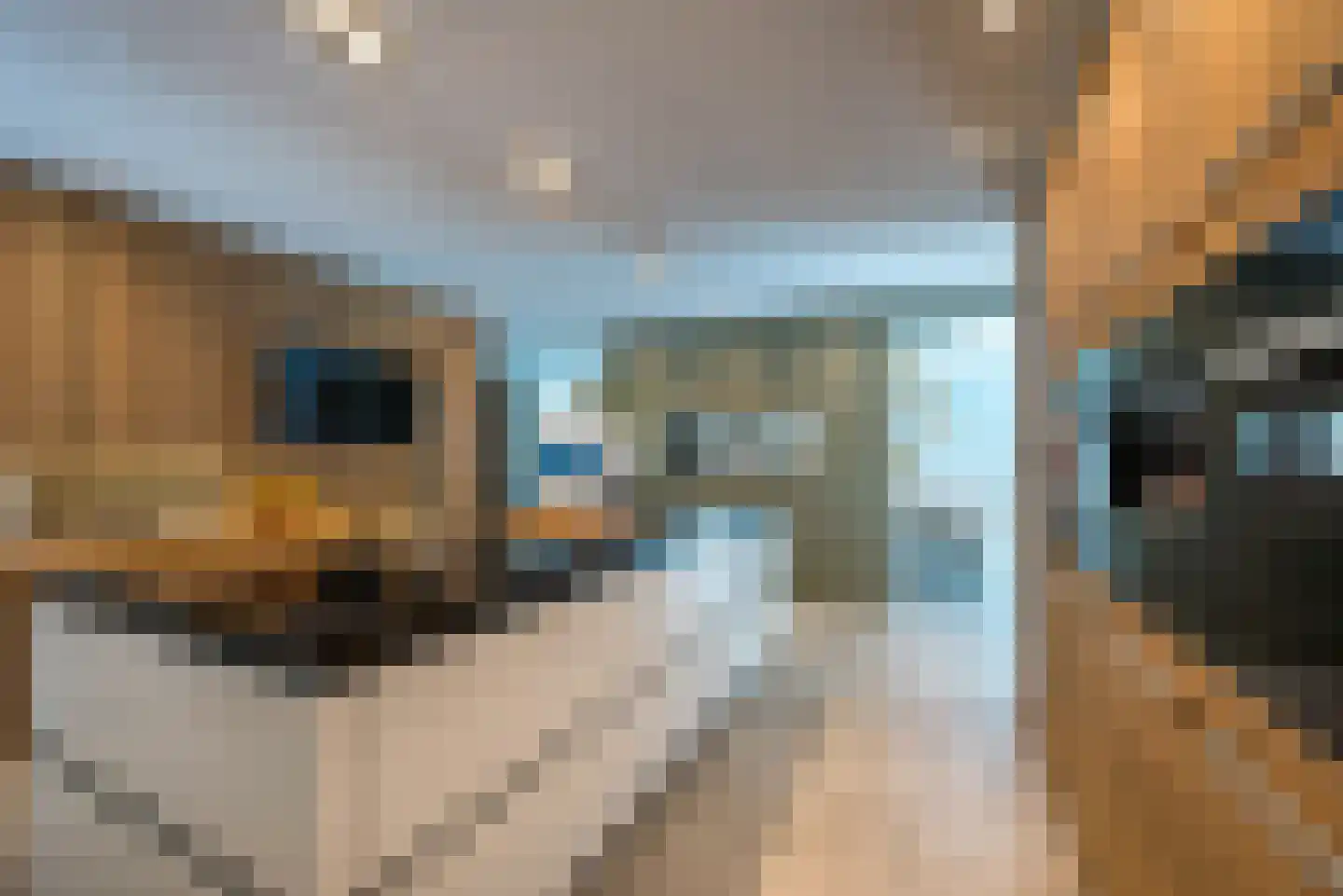 Dokter Limpensstraat 46 Kerkrade thumbnail 17