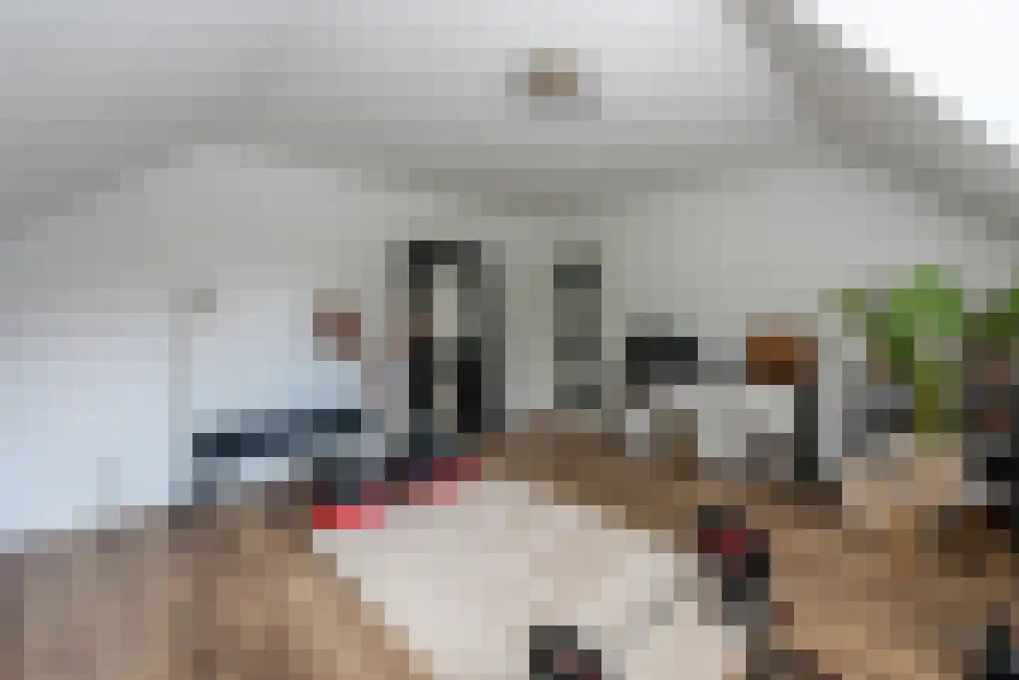 Dokter Limpensstraat 46 Kerkrade thumbnail 26