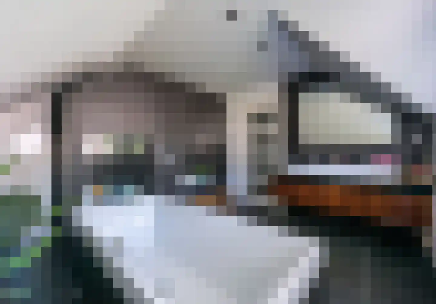 Dokter Limpensstraat 46 Kerkrade thumbnail 33
