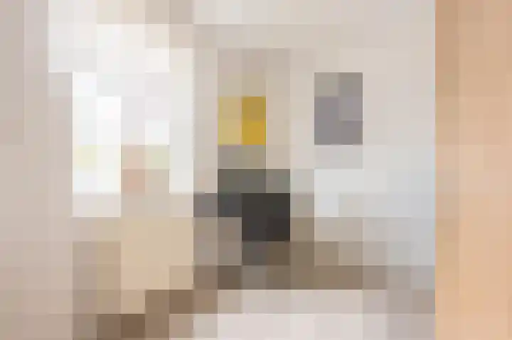 Dokter Limpensstraat 48 Kerkrade thumbnail 17