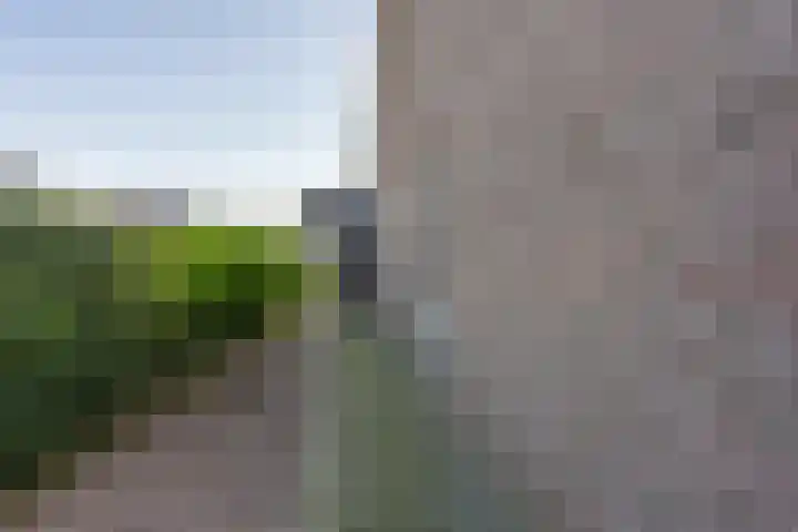 Dokter Limpensstraat 48 Kerkrade thumbnail 31
