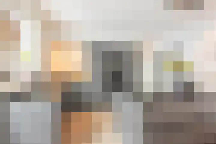 Dokter Limpensstraat 48 Kerkrade thumbnail 8