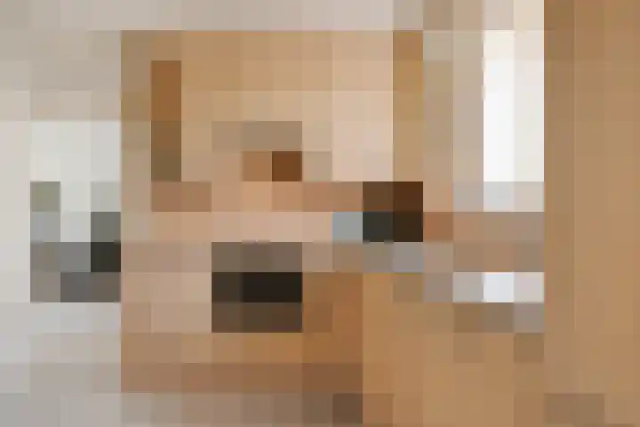 Dokter Lohmanstraat 1 Obdam thumbnail 11