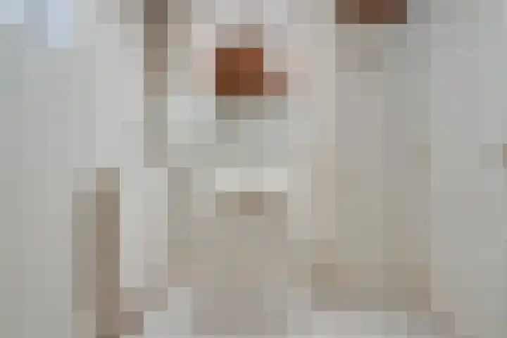 Dokter Lohmanstraat 1 Obdam thumbnail 14