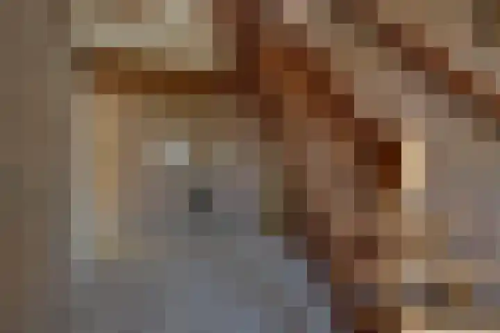 Dokter Lohmanstraat 1 Obdam thumbnail 4