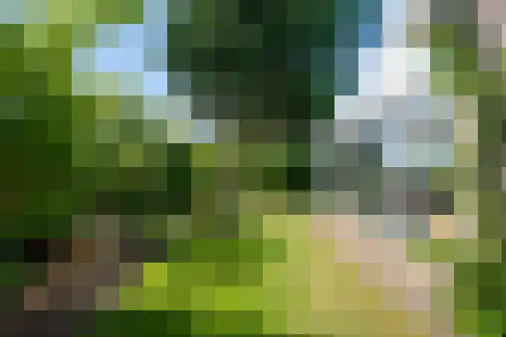 Dokter Lohmanstraat 1 Obdam thumbnail 45