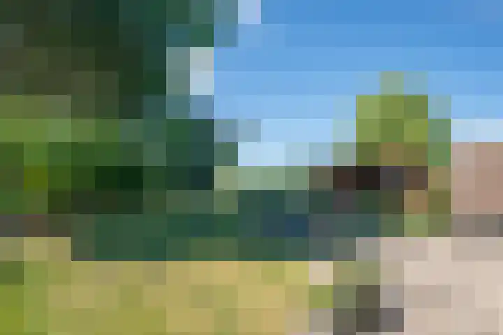 Dokter Lohmanstraat 1 Obdam thumbnail 46