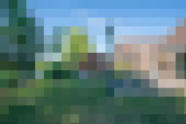 Dokter Lohmanstraat 1 Obdam thumbnail 47