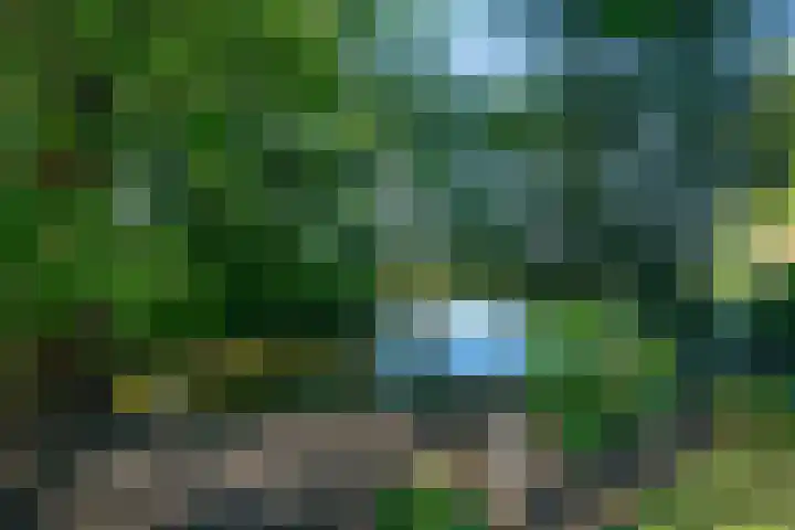 Dokter Lohmanstraat 1 Obdam thumbnail 48