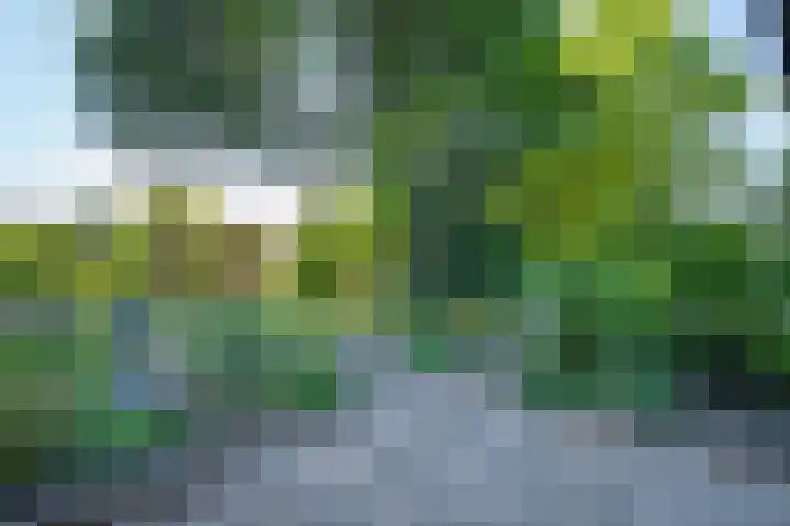 Dokter Lohmanstraat 1 Obdam thumbnail 50