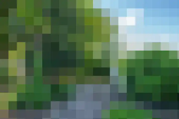 Dokter Lohmanstraat 1 Obdam thumbnail 51