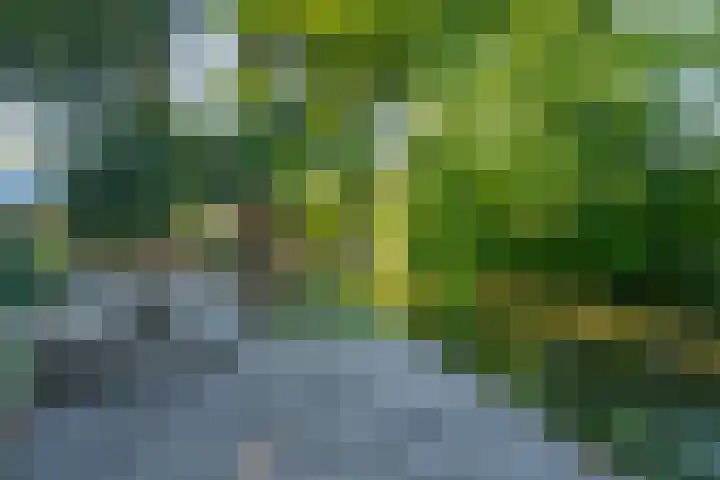 Dokter Lohmanstraat 1 Obdam thumbnail 54