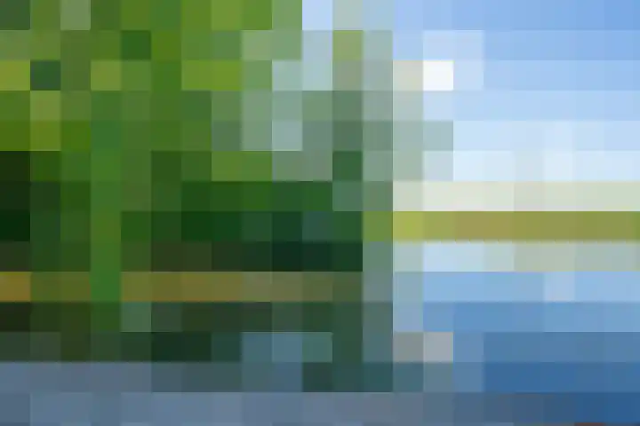 Dokter Lohmanstraat 1 Obdam thumbnail 55
