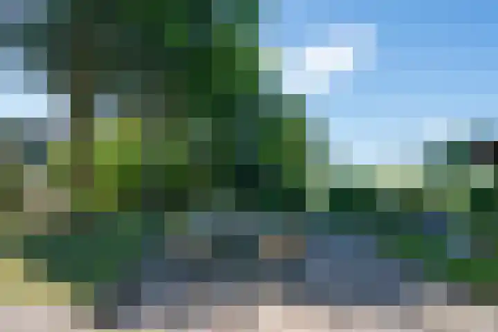 Dokter Lohmanstraat 1 Obdam thumbnail 56