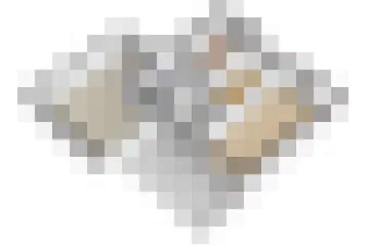 Dokter Lohmanstraat 1 Obdam thumbnail 63