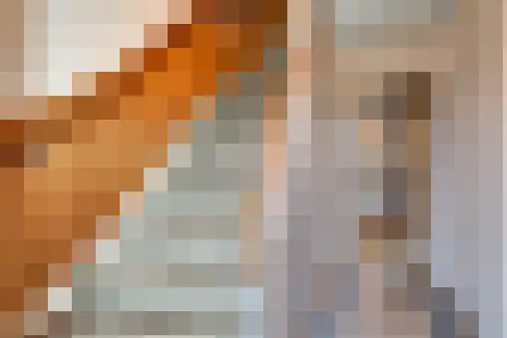 Dokter Lohmanstraat 18 Obdam thumbnail 11