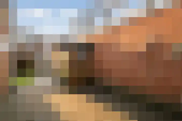 Dokter Lohmanstraat 18 Obdam thumbnail 8